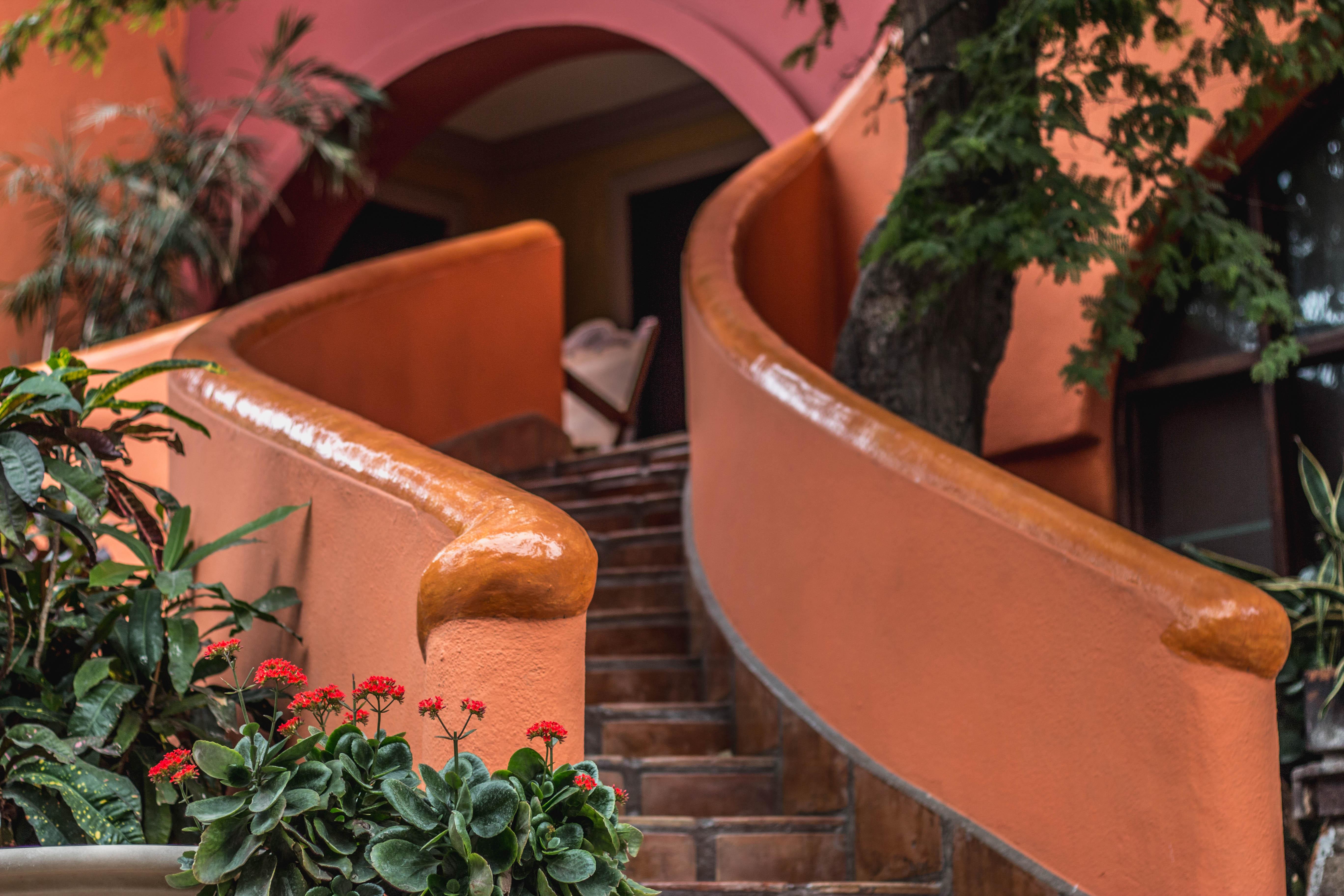 Collection O Casa Bella Hotel Boutique, Кабо Сан Лукас Екстериор снимка